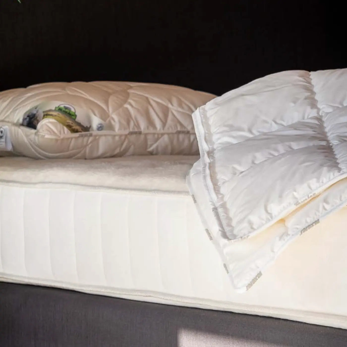 Texeler Soezz 'Perfection' Wool Pillow Mijn winkel